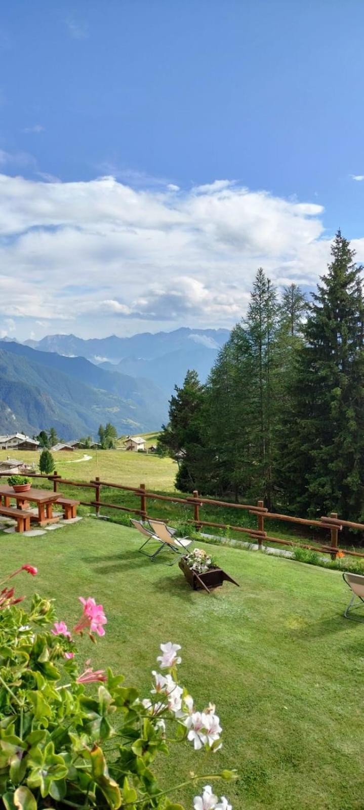 Le Coin Des Melezes - Nature & Trek - Camere In Baita Di Montagna Brusson Exteriör bild