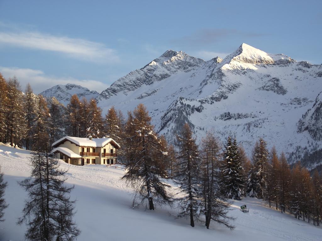 Le Coin Des Melezes - Nature & Trek - Camere In Baita Di Montagna Brusson Exteriör bild