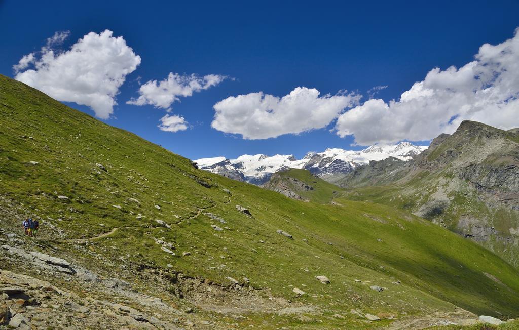 Le Coin Des Melezes - Nature & Trek - Camere In Baita Di Montagna Brusson Exteriör bild