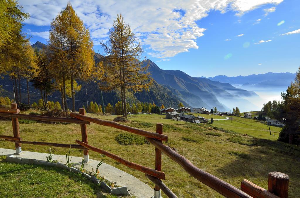 Le Coin Des Melezes - Nature & Trek - Camere In Baita Di Montagna Brusson Exteriör bild