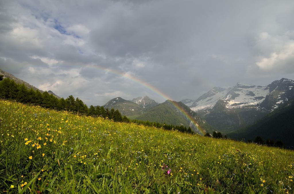 Le Coin Des Melezes - Nature & Trek - Camere In Baita Di Montagna Brusson Exteriör bild