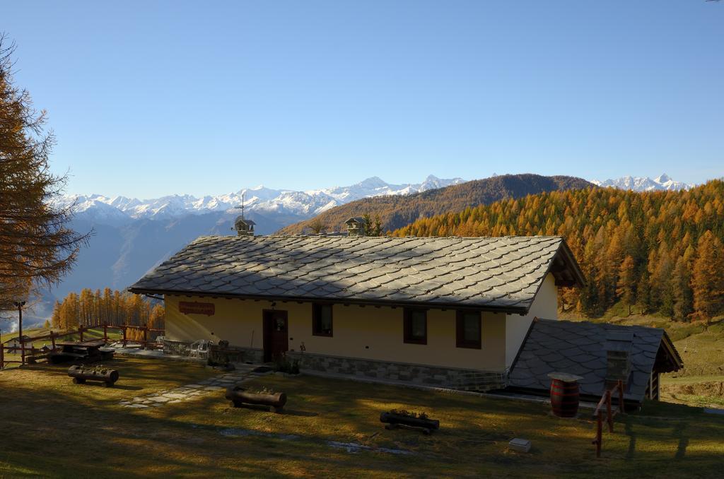 Le Coin Des Melezes - Nature & Trek - Camere In Baita Di Montagna Brusson Exteriör bild