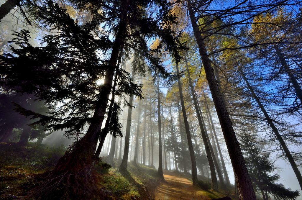 Le Coin Des Melezes - Nature & Trek - Camere In Baita Di Montagna Brusson Exteriör bild