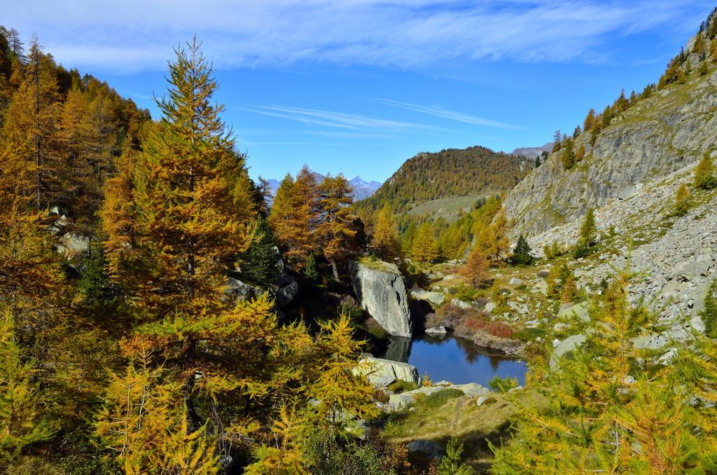 Le Coin Des Melezes - Nature & Trek - Camere In Baita Di Montagna Brusson Exteriör bild