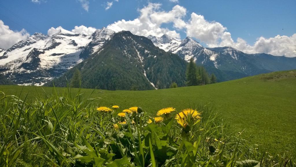 Le Coin Des Melezes - Nature & Trek - Camere In Baita Di Montagna Brusson Exteriör bild